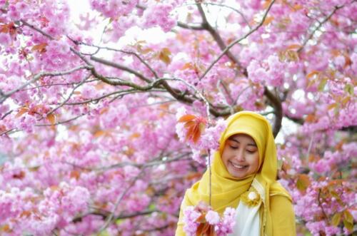 Merekahnya musim semi